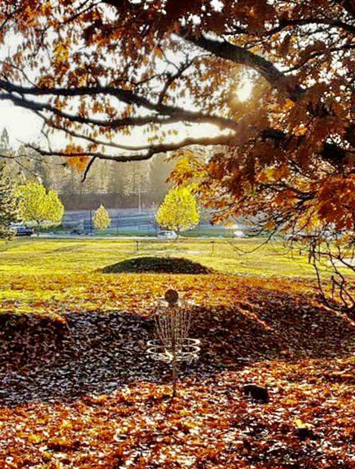 Cherry Hill disc golf course in autumn colors
